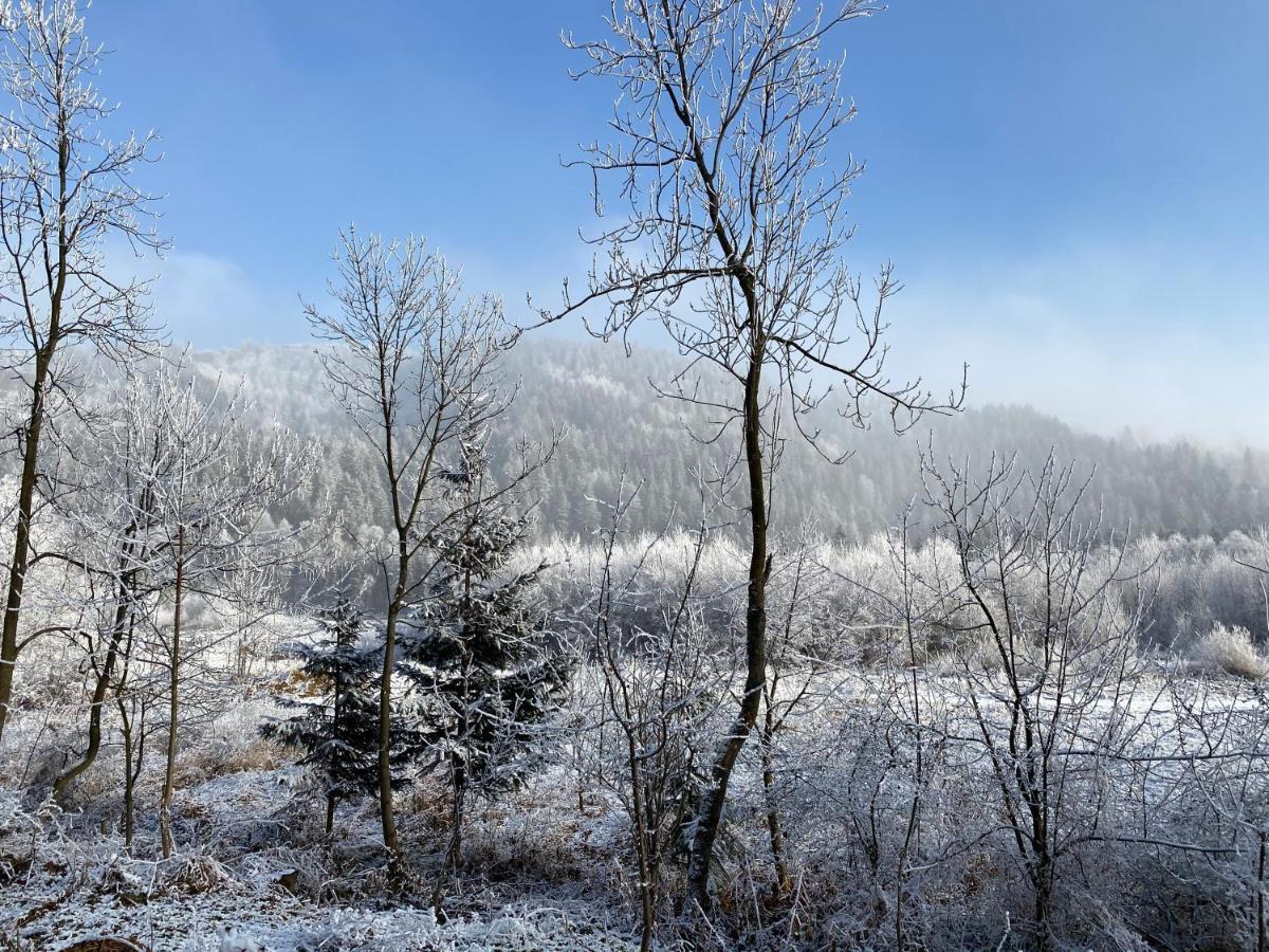 Pokoje Goscinne Pod Jaworem - Obok Pieknego Szlaku Wzdluz Rzeki Bialka, 1Km Do Stokow Kotelnica Exterior photo